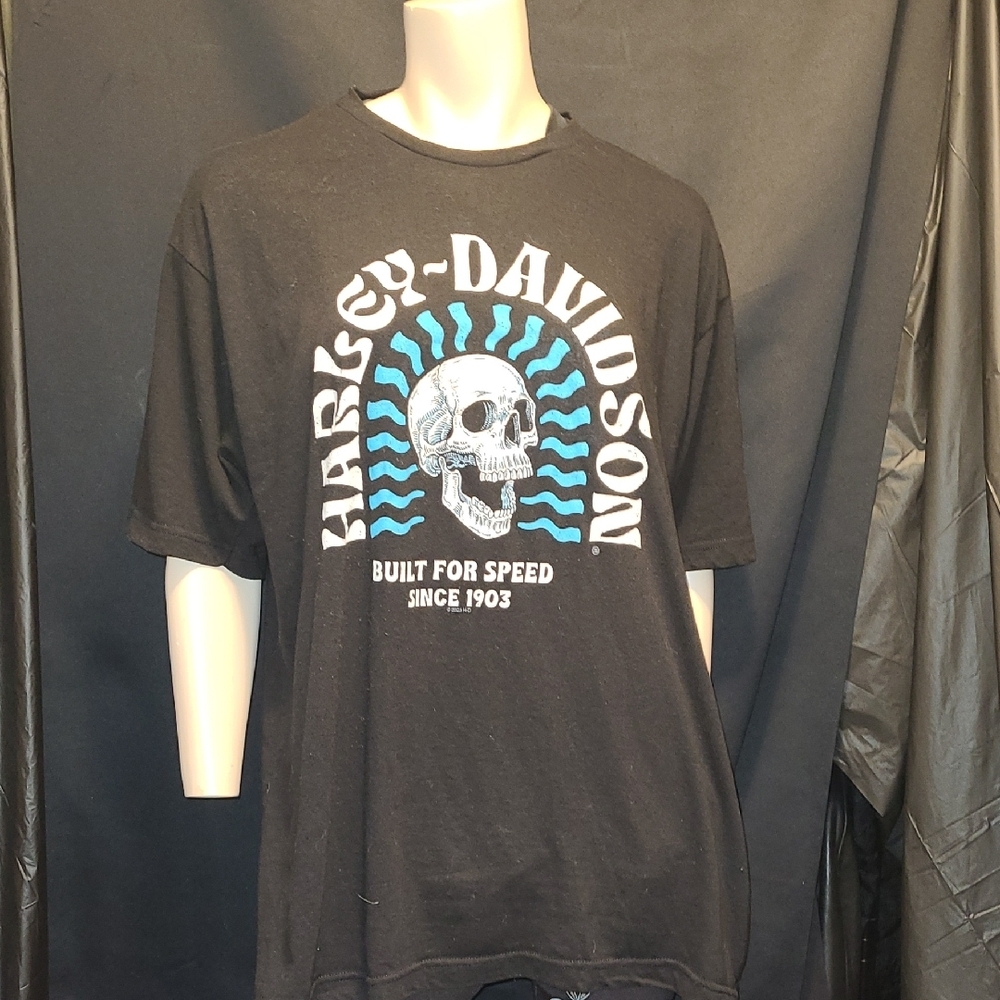Harley-Davidson RATTKESNAKE MOUNTAIN Black Graphic T with Skull Design.